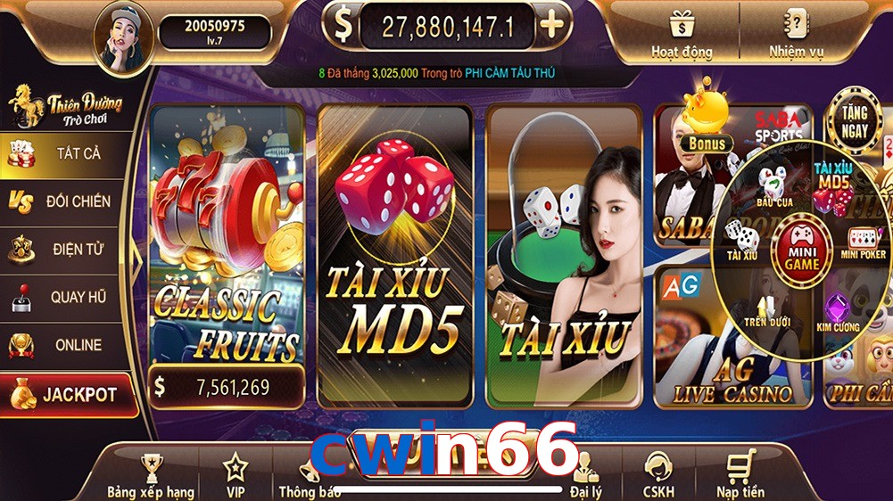 cwin66